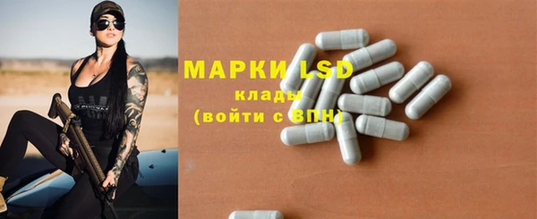 PSILOCYBIN Карталы