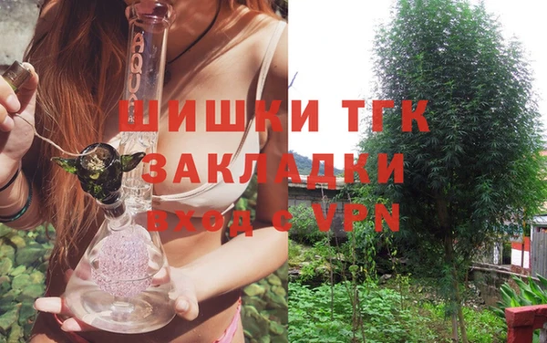 PSILOCYBIN Карталы