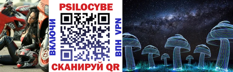 Купить  Горняк  Галлюциногенные грибы GOLDEN TEACHER 